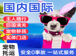 乌兰察布空运公司国际宠物托运 【国